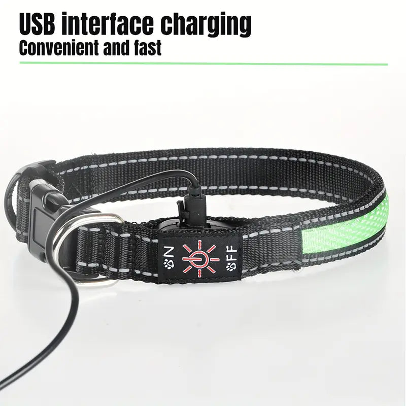 Collar Luminoso LED Recargable