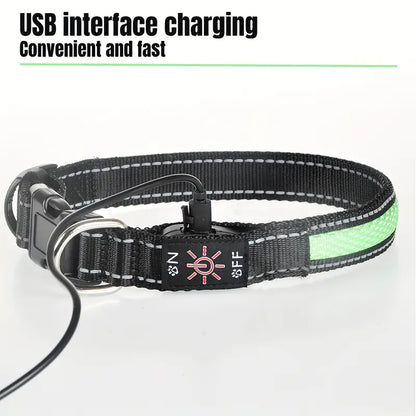 Collar Luminoso LED Recargable