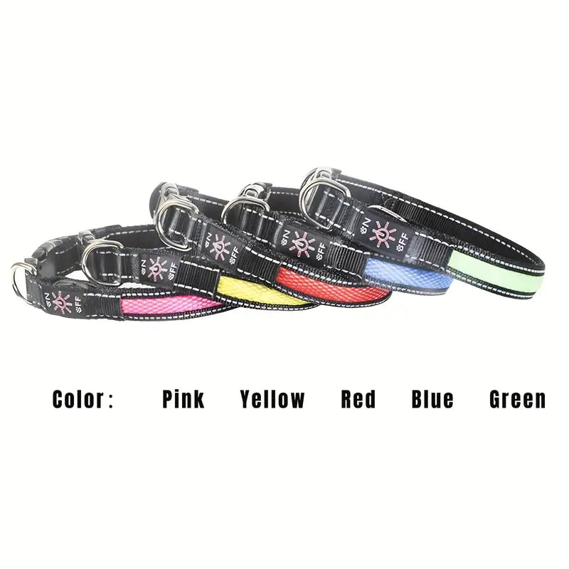 Collar Luminoso LED Recargable
